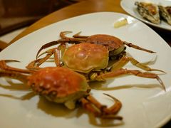 android_upload_pic-美盛喜来登大酒店-盛宴标帜餐厅