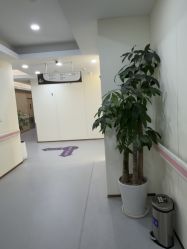 -上海伊莱美医疗美容医院