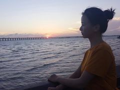 -宝安西湾红树林湿地公园