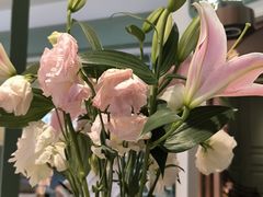 -南堂馆·新川菜(春熙路店)