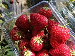 -西部长青自然儿童乐园