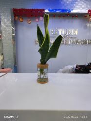 点击看大图 -蕾特恩专业祛痘.面部皮肤管理
