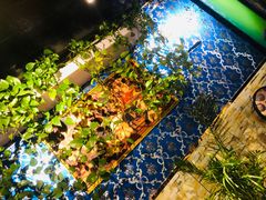 -刀郎牛肉面新疆餐厅·烧烤(清真通州珠江国际城店)