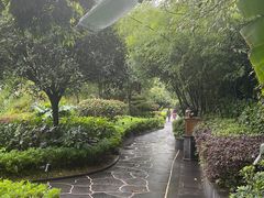 -腾冲洞山温泉村