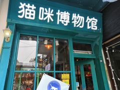 -猫咪博物馆(顶澳仔猫街店)
