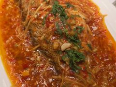 -雀蓝川菜(奥体广场店)