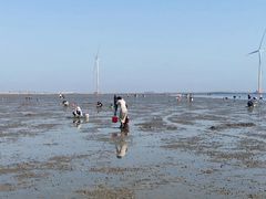 -渔民船说·北塘海鲜·天津菜·海肠捞饭(北塘古镇店)