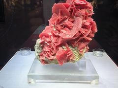 -湖南省地质博物馆