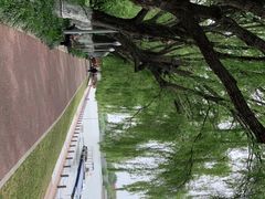 -沙澧河风景区