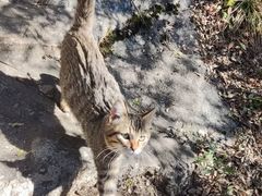 -终南山南五台景区