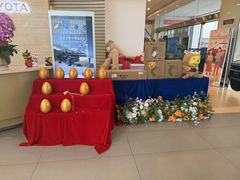 -上海中汽一汽丰田4S店(月星环球港店)