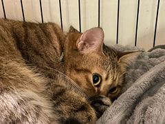 -H立方实景剧情密室(天河旗舰店)