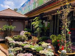 -山菌美食苑(振兴路店)