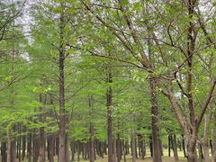 -蜀冈西峰生态公园