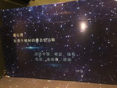 -西双版纳原始森林公园
