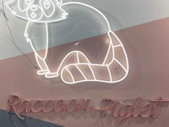 -浣熊柯尔鸭土拨鼠·电玩咖