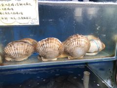 -蚝专家(北滘店)