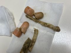 -谐和贝康宠物医院24小时·宠保定点(急重症转诊中心)