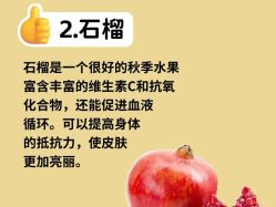 -Fundi张玉珊修身堂·indiba·BTL科技瘦身