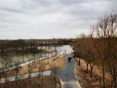 -盐城丹顶鹤湿地生态旅游区