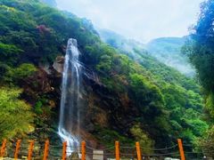 -少华山国家森林公园