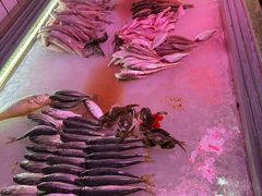 -日日香卤鹅饭店·澄海狮头鹅(澄海店)