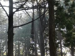 -八大关景区