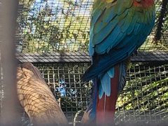 -费瑟代尔野生动物园