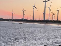 -真利味·脊骨火锅·正宗韩国料理(韩乐坊店)