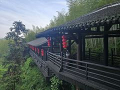 -大唐贡茶院