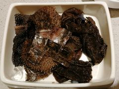 捞派毛肚-海底捞火锅(奥体南路店)