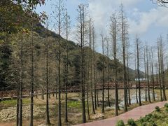 景点-广州市石门国家森林公园