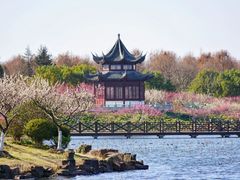 -上海海湾国家森林公园