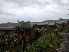 -池杉湖湿地公园