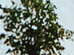 -湘邻呷铺·田园家宴(汉基广场店)