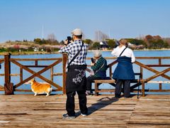 -上海海湾国家森林公园