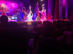 -金东尼人妖秀