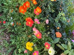 -人民公园(罗湖区)