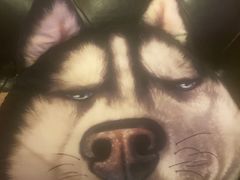 -爱啤精酿·民谣酒馆(滨江店)