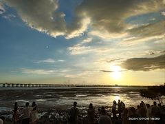 -宝安西湾红树林湿地公园