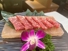 -千寻山野烤肉(中关村店)