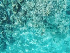 -东姑阿都拉曼海洋公园
