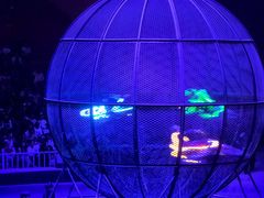 -俄罗斯国家大马戏团