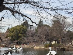 -井之头恩赐公园