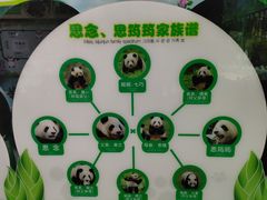 -灵玲国际马戏城