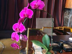 -翠湖宾馆·中餐厅