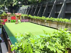 -菲司迪托育园(蛇口店)