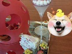 -苏州洲际酒店·大堂酒廊