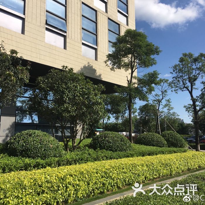 tcl科学园国际e城