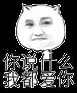 -中国石化阿蓬江东加油站